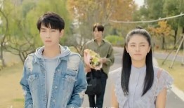 甜蜜冤家在线观看,浪漫邂逅，误会连连的甜蜜旅程