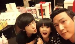 那英爆料王菲窦唯视频播放,揭秘娱乐圈不为人知的一面